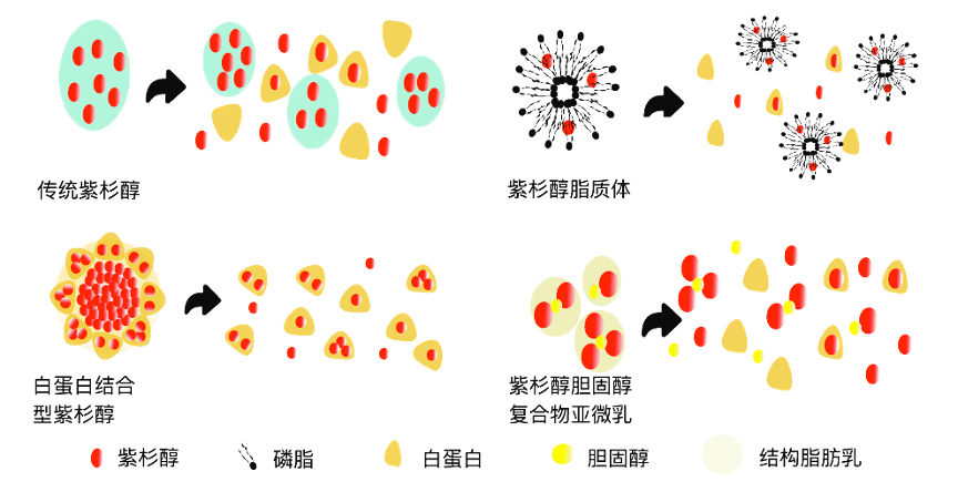 /uploads/image/2023/04/07/1680847606174635/3.png 3.png