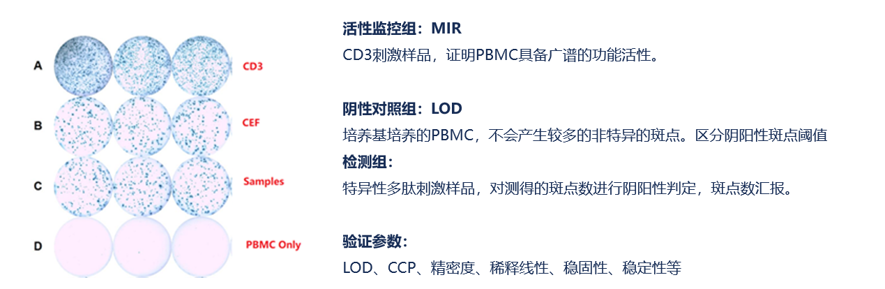 /uploads/image/2023/04/07/1680849518008408/圖片49.png 圖片49.png